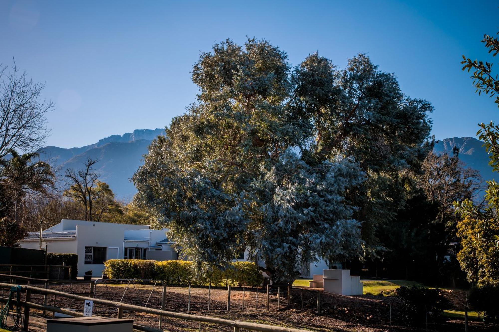 Dolittle Cottages Swellendam Buitenkant foto