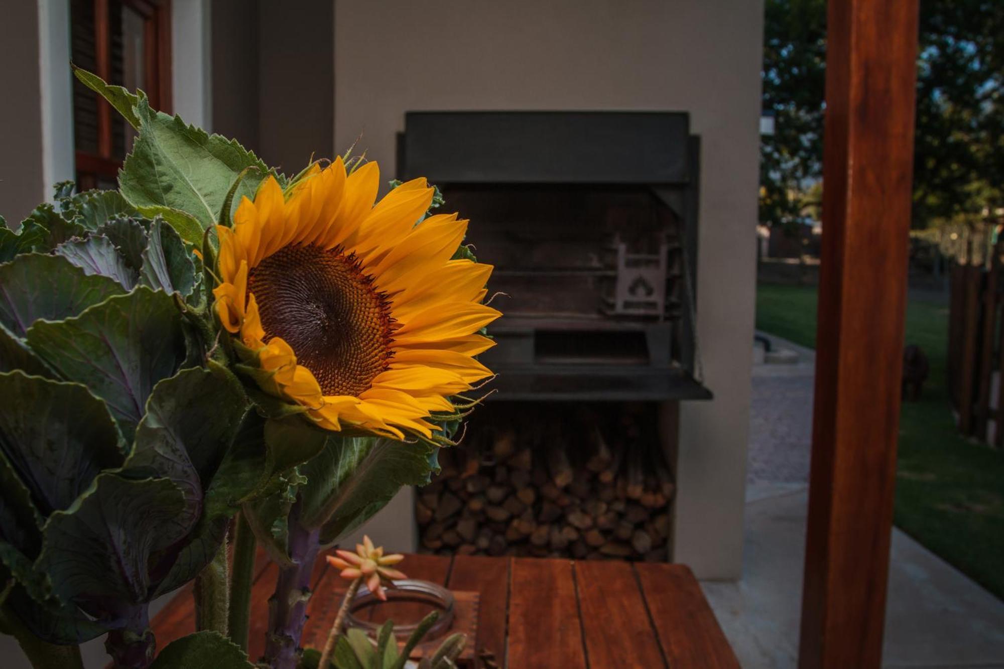 Dolittle Cottages Swellendam Kamer foto